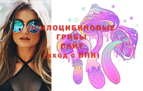 PSILOCYBIN Алзамай