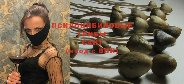 PSILOCYBIN Алзамай