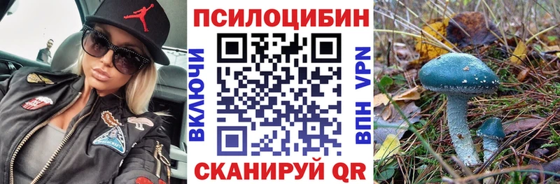 Псилоцибиновые грибы Psilocybe  omg зеркало  Вилюйск 